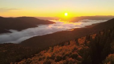 Sonbahar gündoğumunda sisli, karanlık dağ ormanlarının çam ağaçlarının olduğu muhteşem manzaranın havadan görüntüsü. Şafak vakti ışıldayan ışıklarıyla güzel vahşi ormanlık