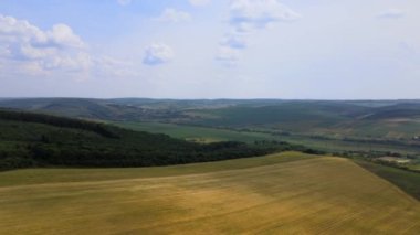 Sarı ekili tarla manzarası açık yaz gününde olgunlaşmış buğdayla birlikte.