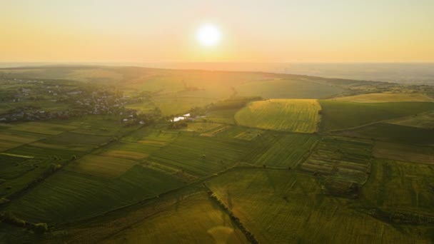 Vista aérea del paisaje de campos agrícolas verdes cultivados con cultivos en crecimiento y casas de pueblo distantes en la noche de verano brillante — Vídeos de Stock