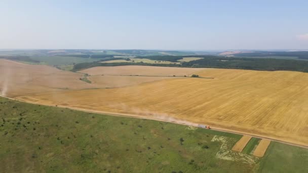 Vue aérienne de camion de fret conduisant sur la route de terre entre les champs de blé agricole faisant beaucoup de poussière. Transport du grain après récolte par moissonneuse-batteuse pendant la saison de récolte — Video