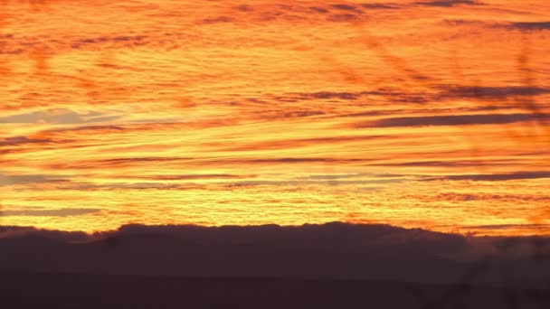 Ljus färgglad solnedgång himmel med levande släta moln upplysta med inställning sol ljus sprider sig till horisonten — Stockvideo