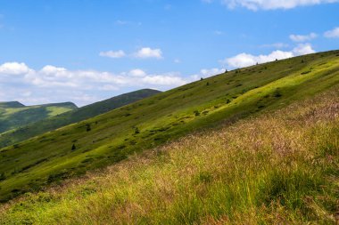 Yazın çimenli yeşil çayır ve uzak dağ tepeleriyle aydınlık bir manzara.