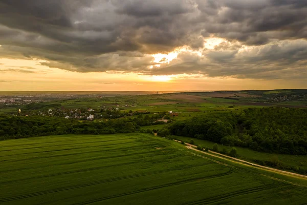Vzdušná krajina pohled na zeleně obdělávaná zemědělská pole s rostoucí plodiny za jasného letního večera — Stock fotografie