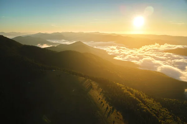 Vista aérea de paisajes increíbles con niebla pico de montaña oscura cubierta de pinos del bosque al amanecer de otoño. Hermoso bosque salvaje con rayos brillantes de luz al amanecer —  Fotos de Stock