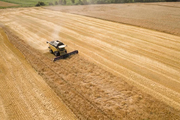 Widok z lotu ptaka na kombajn zbożowy zbierający duże dojrzałe pole pszenicy. Rolnictwo z punktu widzenia dronów — Zdjęcie stockowe