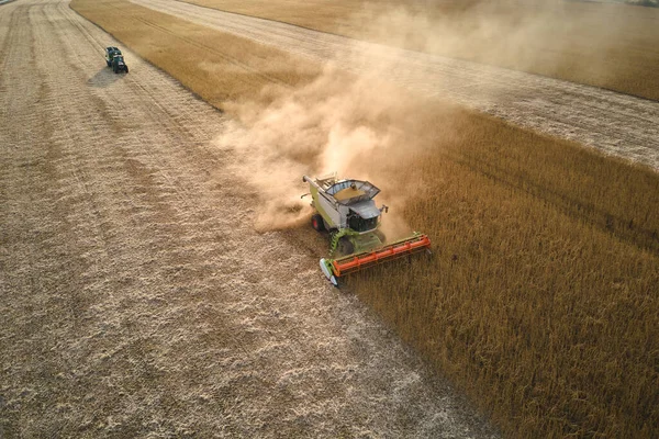 Luftaufnahme eines Mähdreschers, der während der Erntezeit auf einem großen reifen Weizenfeld arbeitet. Landwirtschaftskonzept — Stockfoto