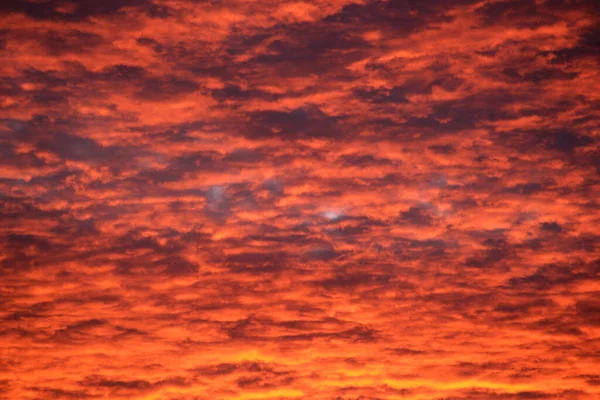 Jasná barevná obloha se západem slunce s jasnými hladkými mraky ozářenými zapadajícím slunečním světlem šířícím se k obzoru — Stock fotografie