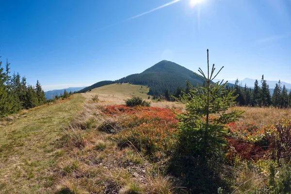 Ljust landskap med gräsbevuxen grön äng och avlägsna bergskullar på sommaren — Stockfoto