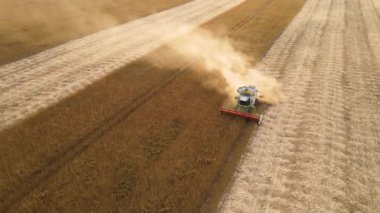 Buğday tarlasında hasat mevsiminde çalışan hasat makinesinin hava görüntüsü. Tarım kavramı