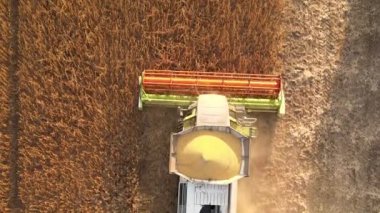 Buğday tarlasında hasat mevsiminde çalışan hasat makinesinin hava görüntüsü. Tarım kavramı