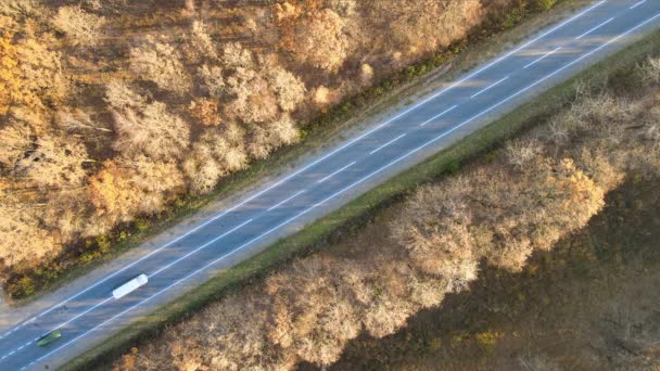 Вид з повітря на міжміську дорогу з швидким водінням автомобілів між осінніми лісовими деревами на заході сонця. Вид зверху з дрона шосе ввечері — стокове відео