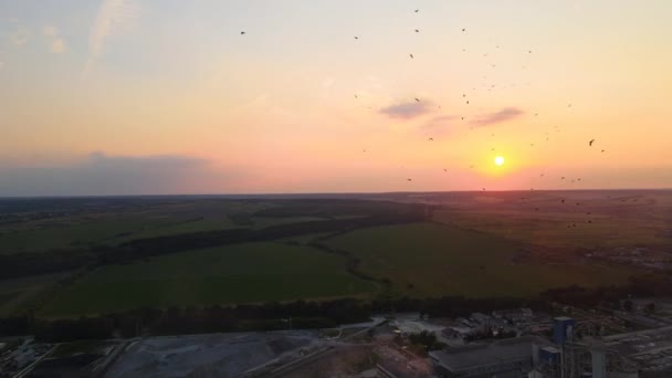Große Schar von Krähenvögeln fliegt gegen den klaren Himmel bei Sonnenuntergang — Stockvideo
