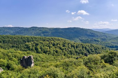 Yeşil orman ağaçları ve sık ağaçlar arasında büyük kayalık kayaların olduğu parlak manzaranın havadan görünüşü. Vahşi ormanın güzel manzarası