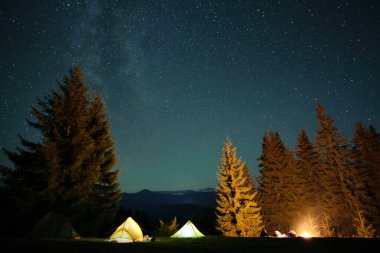 Parlak şenlik ateşinin yanında dinlenen yürüyüşçüler parlayan yıldızlarla dolu karanlık dağ ormanlarındaki kamp alanlarında kamp yapıyorlar. Aktif yaşam tarzı ve açık hava yaşam konsepti