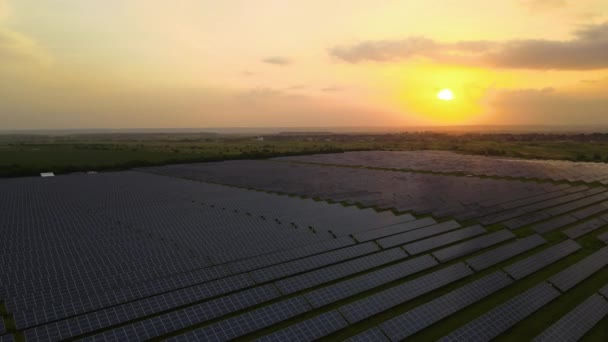 Luchtfoto van een grote duurzame elektriciteitscentrale met vele rijen fotovoltaïsche zonnepanelen voor het produceren van schone elektrische energie bij zonsondergang. Hernieuwbare elektriciteit zonder uitstoot — Stockvideo