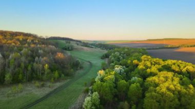 Baharın erken saatlerinde taze yeşil ağaçlarla kaplı ormanlık arazi toprak yol üzerindeki hava manzarası.
