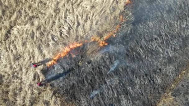 Vista aérea de los bomberos extinguiendo el campo de pastizales ardiendo con fuego rojo durante la estación seca. Desastres naturales y cambio climático — Vídeos de Stock