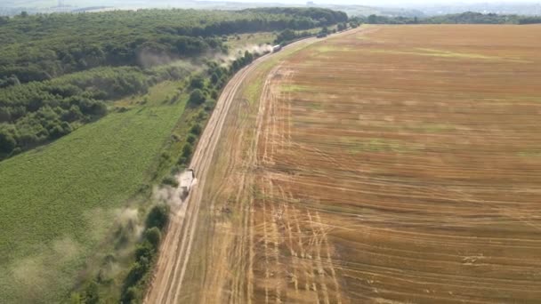 Vista aérea del camión de carga conduciendo en el camino de tierra entre campos de trigo agrícola. Transporte de grano después de ser cosechado por cosechadora durante la temporada de cosecha — Vídeo de stock