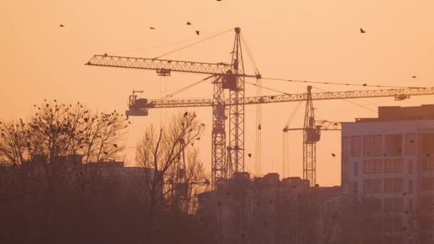 Dunkle Silhouette von Turmdrehkranen auf der Baustelle hoher Wohnhäuser bei Sonnenuntergang. Immobilienentwicklung — Stockvideo