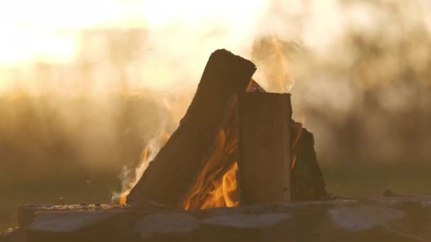 Дерев'яні колоди горять гарячим помаранчевим полум'ям у відкритому багатті. Концепція гриля та барбекю — стокове відео