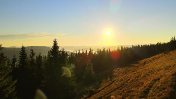 Αεροφωτογραφία του φωτεινό ομιχλώδες πρωί πάνω από σκοτεινά ορεινά δέντρα το φθινόπωρο ανατολή του ηλίου. Όμορφο τοπίο της άγριας δασικής γης την αυγή — Αρχείο Βίντεο