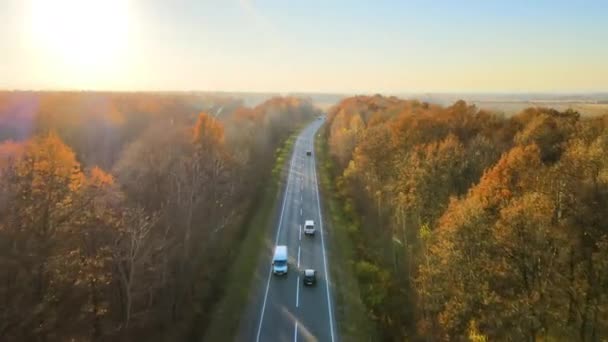 Luftaufnahme einer Überlandstraße mit schnell fahrenden Autos zwischen herbstlichen Waldbäumen bei Sonnenuntergang. Draufsicht von der Drohne auf den Autobahnverkehr am Abend — Stockvideo