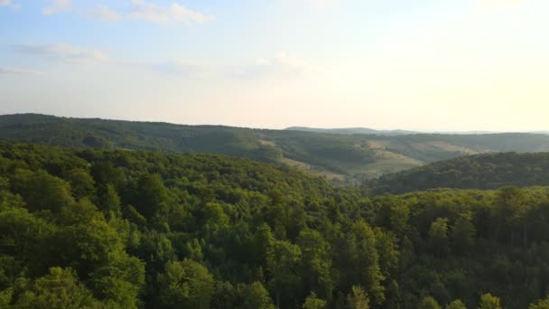 晴朗的夏日，高山上覆盖着茂密的青翠茂密的森林，空中尽收眼底 — 图库视频影像