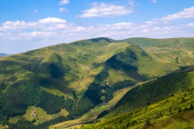 Yazın çimenli yeşil çayır ve uzak dağ tepeleriyle aydınlık bir manzara.