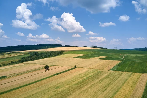 Vzdušná krajina pohled na zelené a žluté obdělávané zemědělské pole s rostoucí plodiny v jasný letní den — Stock fotografie