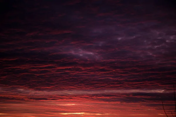 Cielo colorido brillante del atardecer con las nubes lisas vivas iluminadas con la luz del sol que fija que se extiende al horizonte — Foto de Stock