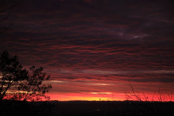 Follaje oscuro de árboles pequeños y arbustos contra el cielo colorido brillante del atardecer con nubes vívidas iluminadas con luz del sol poniente —  Fotos de Stock