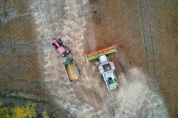 Vista aérea de la cosechadora que descarga el grano en el remolque de carga que trabaja durante la temporada de cosecha en un gran campo de trigo maduro. Agricultura y transporte del concepto de productos agrícolas crudos — Foto de Stock