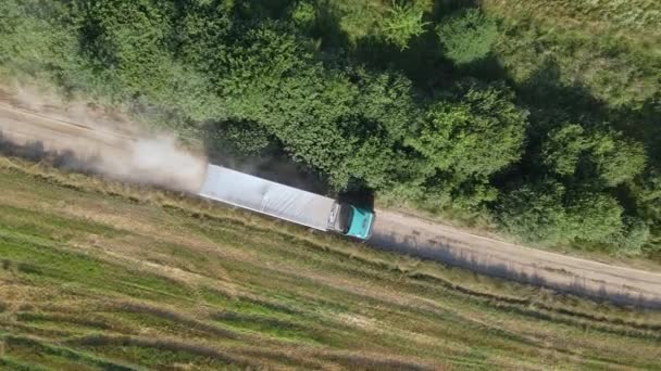 Vista aérea del camión de carga que conduce en el camino de tierra entre los campos de trigo agrícola haciendo mucho polvo. Transporte de grano después de ser cosechado por cosechadora durante la temporada de cosecha — Vídeo de stock