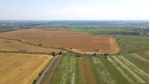 Luchtfoto van de maaidorser die tijdens het oogstseizoen op het grote rijpe tarweveld werkt. Landbouwconcept — Stockvideo