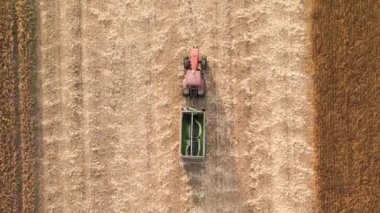 Tarım buğday tarlaları arasında toprak yolda giden kargo karavanlı traktörün hava görüntüsü. Hasat işleminden sonra tahıl nakliyesi