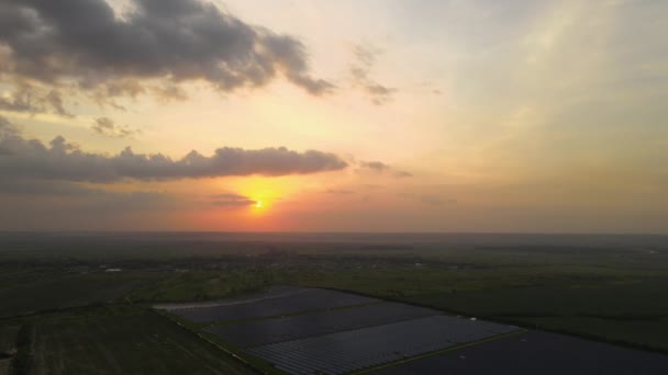 Aerial view of large sustainable electrical power plant with rows of solar photovoltaic panels for producing clean electric energy in evening. Concept of renewable electricity with zero emission — Stockvideo