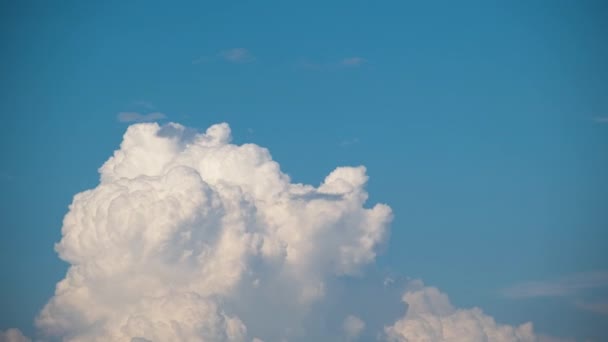 Timelapse of white puffy cumulus clouds forming on summer blue sky. Moving and changing cloudscape weather — Video Stock