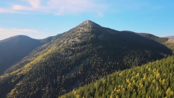Légi kilátás magas dombok sötét fenyőerdő fák ősszel fényes napon. Csodálatos táj a vad hegyi erdők — Stock videók