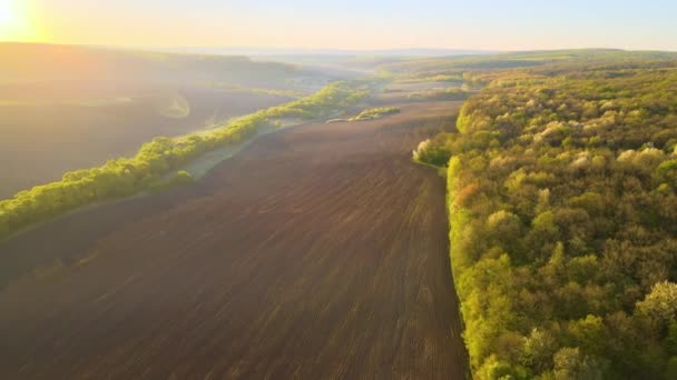 Flygfoto av plöjda jordbruksfält med odlad bördig jord förberedd för plantering av grödor mellan gröna skogar på våren vid solnedgången — Stockvideo