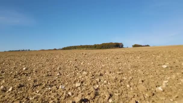 Lövad jordbruksmark med odlad bördig jord förberedd för plantering av grödor på våren — Stockvideo