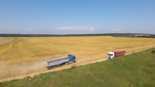 Aerial view of cargo truck driving on dirt road between agricultural wheat fields making lot of dust. Transportation of grain after being harvested by combine harvester during harvesting season — Vídeo de Stock