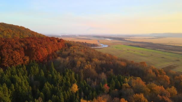 秋天的落日时分，空中俯瞰着覆盖着茂密的松树和郁郁葱葱的森林、绿树和黄树的山丘。秋天美丽的夜景 — 图库视频影像