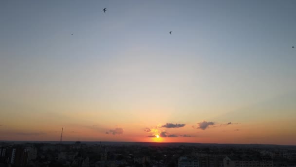 Cielo brillante y colorido al atardecer con rayos de luz solar y bandada de aves volando contra el sol poniente — Vídeo de stock