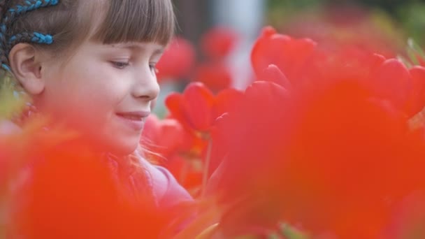 Lykkelig jente som nyter lukten av røde tulipanblomster i sommerhagen – stockvideo