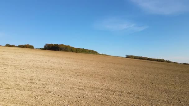 Geploegd landbouwveld met bebouwde vruchtbare grond, voorbereid voor het aanplanten van gewassen in het voorjaar — Stockvideo