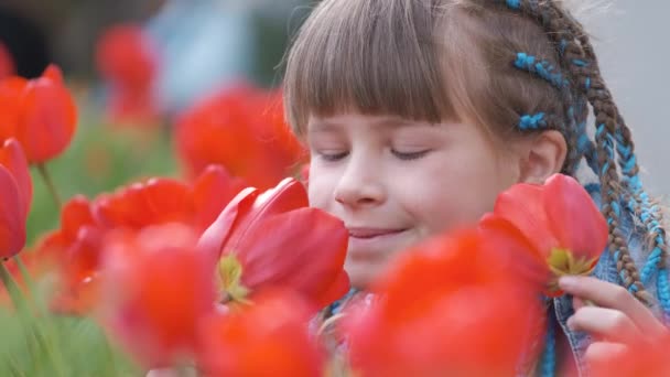 Joyeux enfant fille bénéficiant d'une odeur douce de fleurs de tulipe rouge dans le jardin d'été — Video
