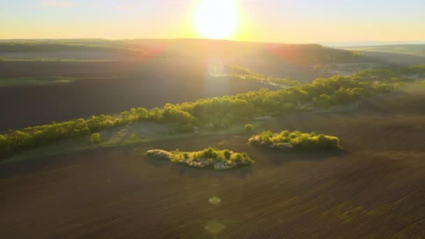 Baharda yeşil ormanlar arasında gün batımında ekin ekmeye hazırlanan ekili verimli topraklarla tarımsal tarlaların havadan görünüşü — Stok video