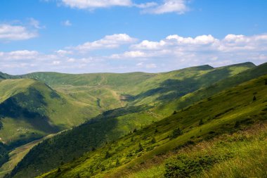 Yazın çimenli yeşil çayır ve uzak dağ tepeleriyle aydınlık bir manzara.