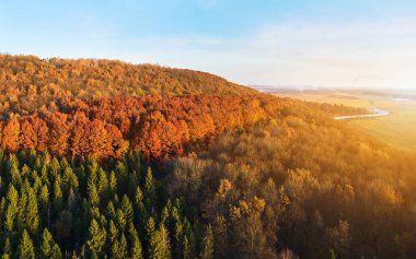 Sonbahar dağ ormanlarında günbatımında yeşil ve sarı ağaçlarla kaplı koyu çam ve yemyeşil ormanlarla kaplı tepelerin havadan görünüşü. Güzel sonbahar akşam manzarası