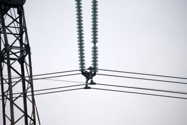 Elektrik kabloları, kablo kabloları aracılığıyla güvenli yüksek voltajlı elektrik enerjisini yalıtan güvenli bir koruma çerçevesine bölünmüş durumda. Şehirlerarası elektrik iletimi kavramı